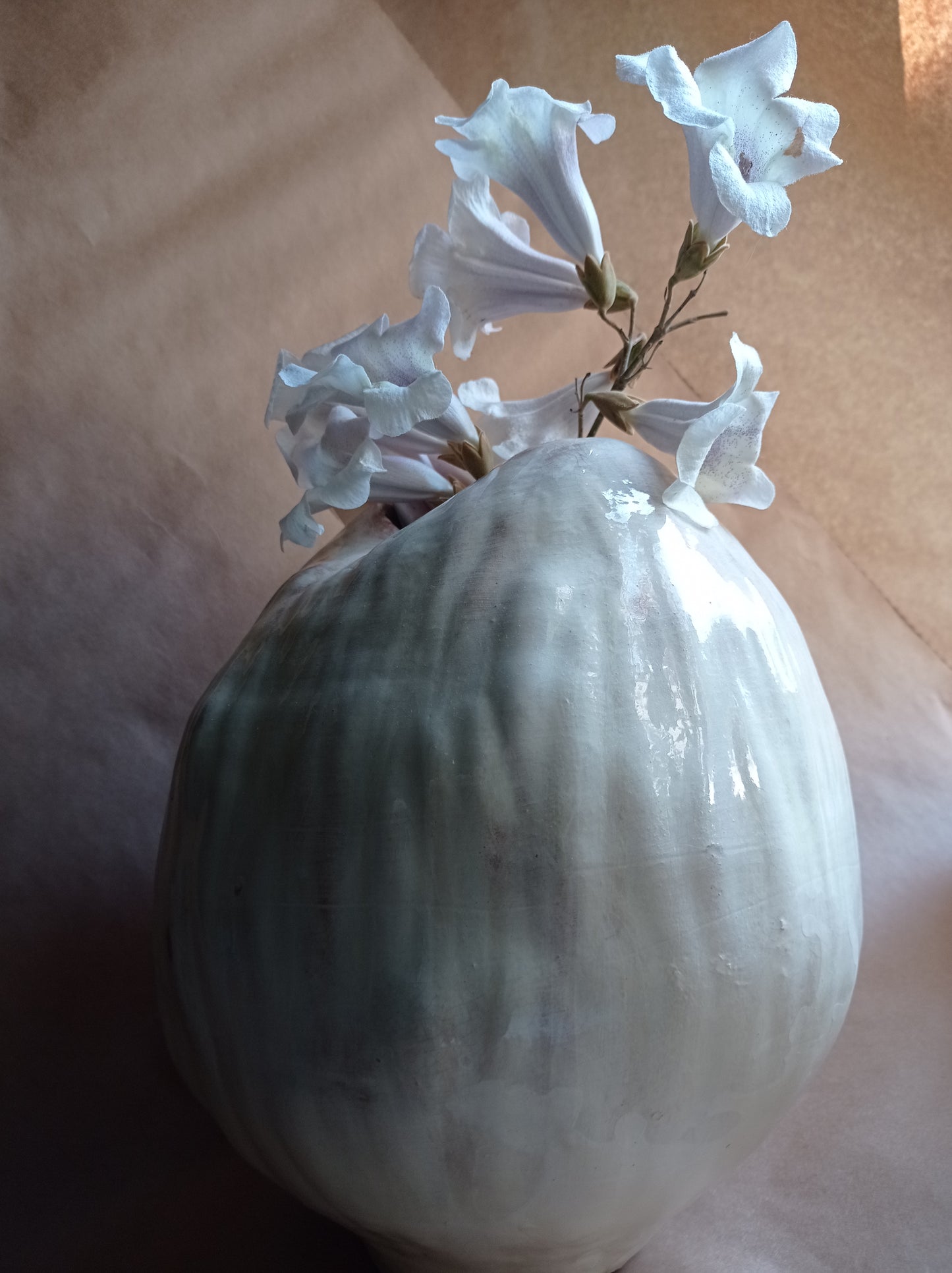 Vaza 'Cocon'