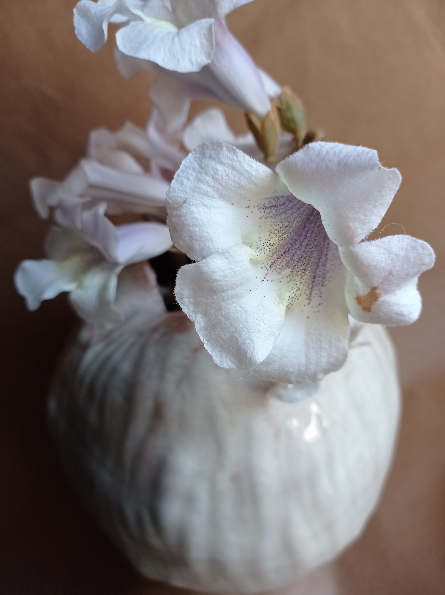 Vaza 'Cocon'